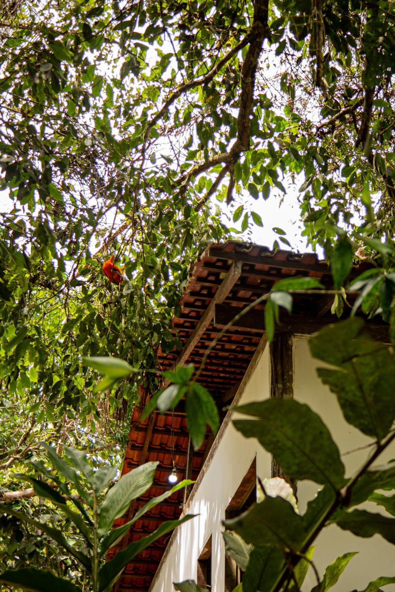 Refugio Mari Mari Lodge Presidente Figueiredo Extérieur photo